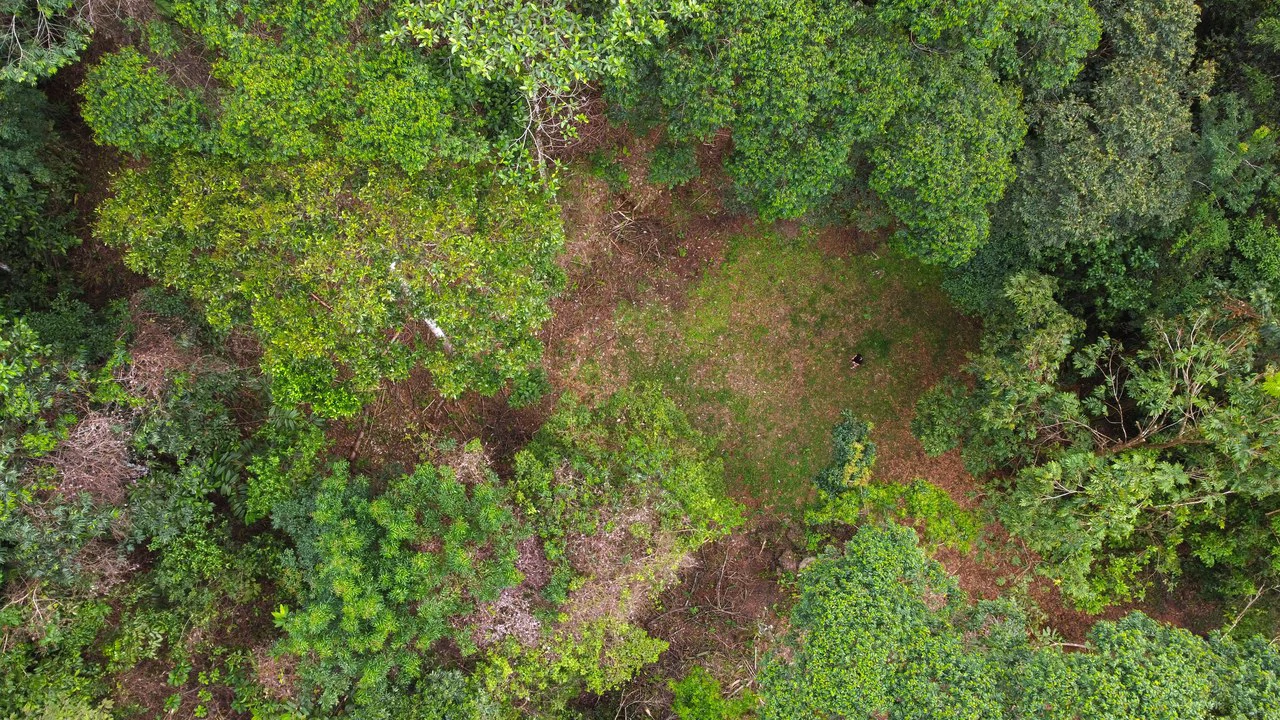 Mountain View Building Lot in Prestigious Gated Community With Private Waterfall & Two Building Sites: Mountain Home Construction Site For Sale in Portalon - Gallery image 8