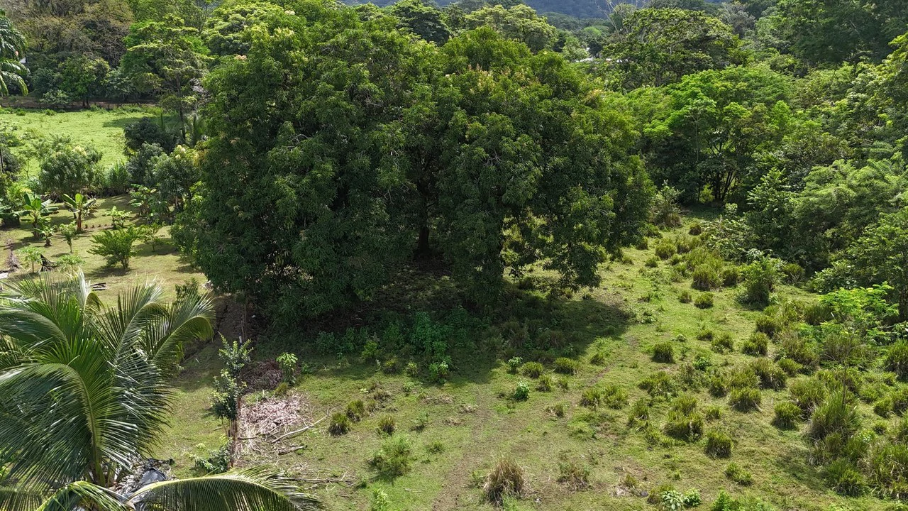 Walk to the beach, Developement Land, Mini Ranch, Central Uvita - Gallery image 12