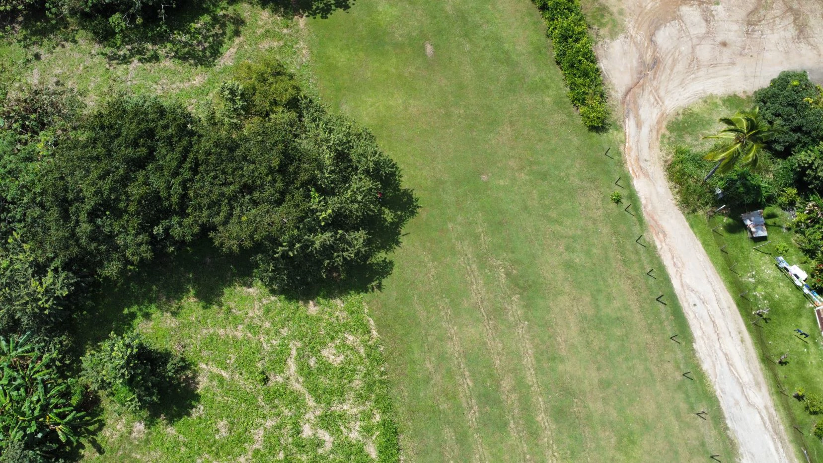 Land for sale in San Carlos - photo 7