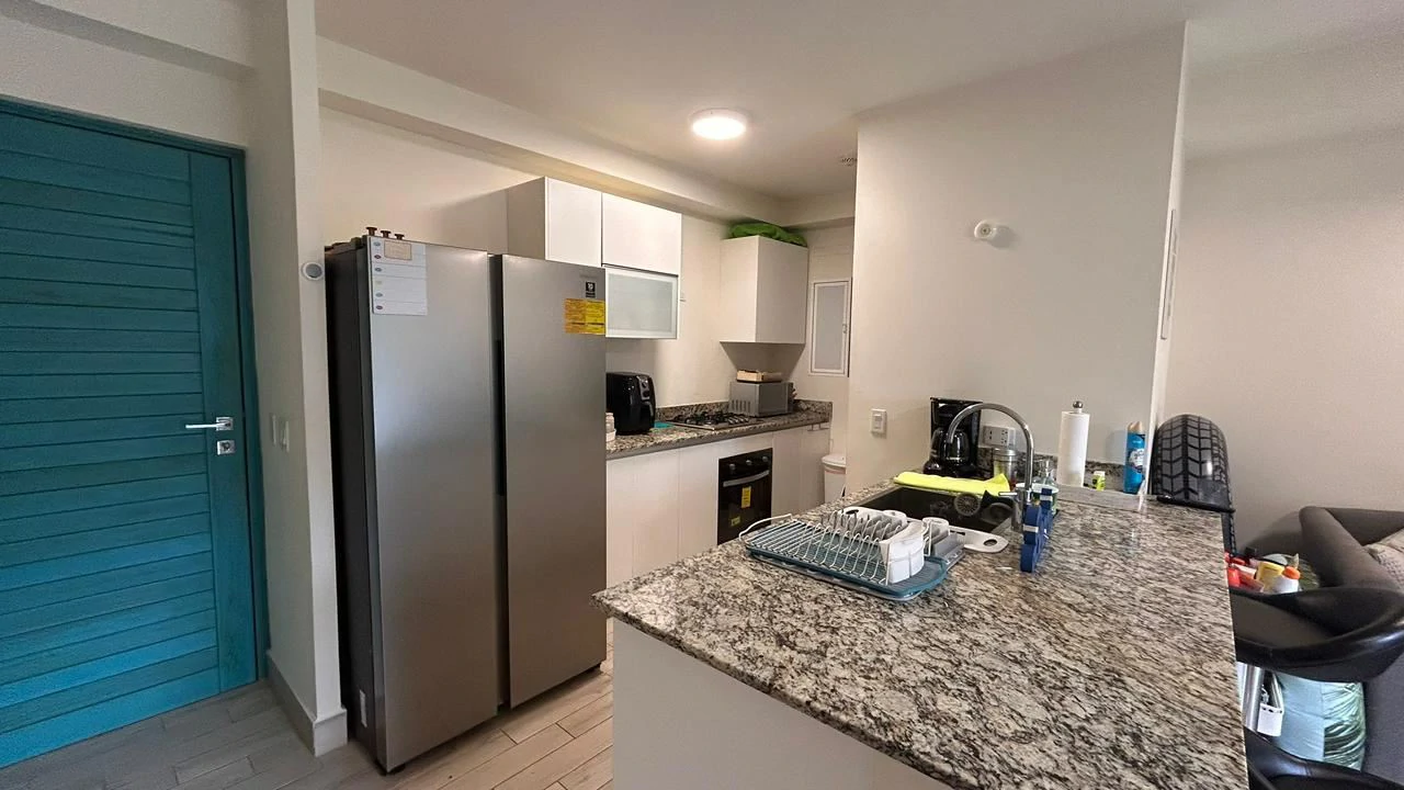APARTMENT FOR SALE IN PLAYA CARACOL - OCEANFRONT - photo 5