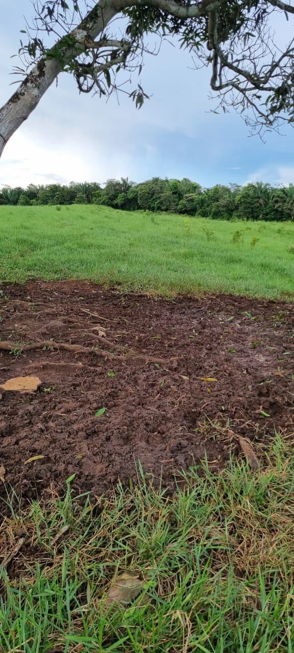 SALE OF LAND IN CHORRERA - LAS YAYAS ADENTRO (7.5 HECTARES) - photo 6