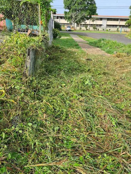 LAND FOR SALE IN LA CHORRERA - photo 3