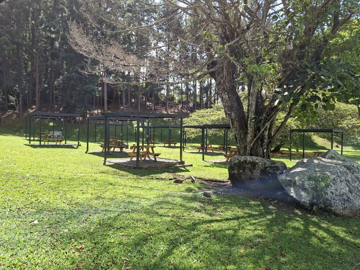 FOR SALE – Mountain Land in Altos de María, Chame District, Panamá - photo 15