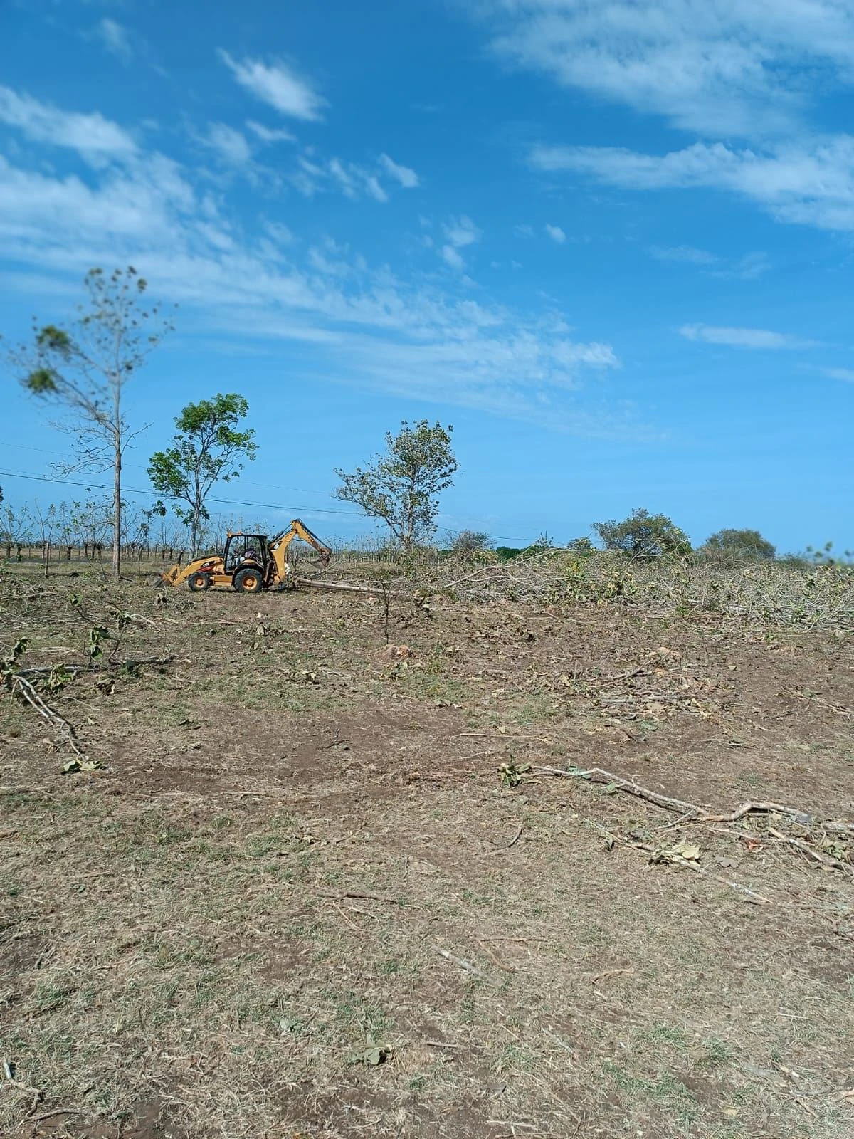 LAND FOR SALE IN LAS TABLAS – POCRÍ / PARITILLA, 15.5 HECTARES - photo 4