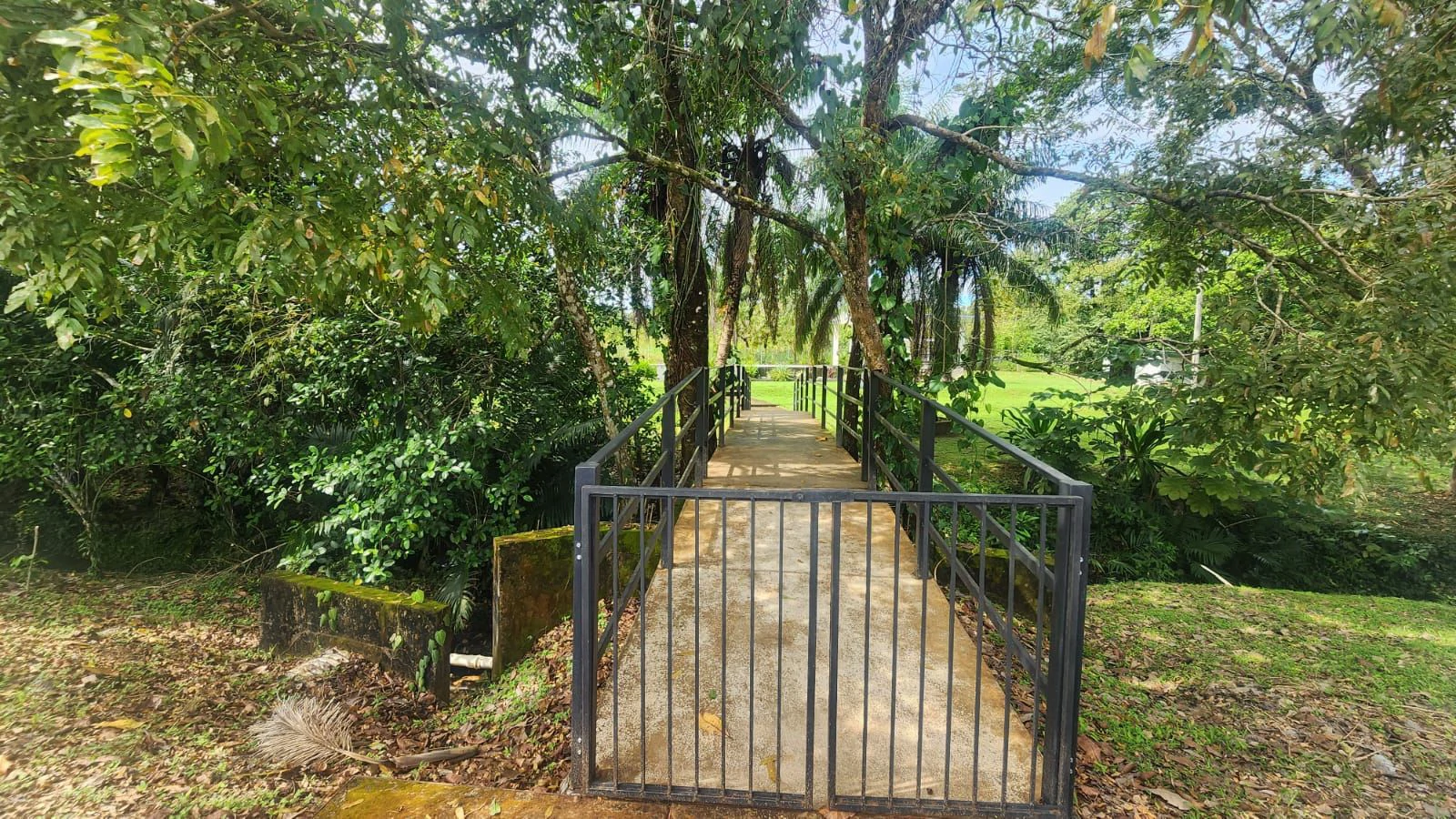 HOUSE FOR SALE | PH JARDINES ESPINO DE LA ROSA - photo 5