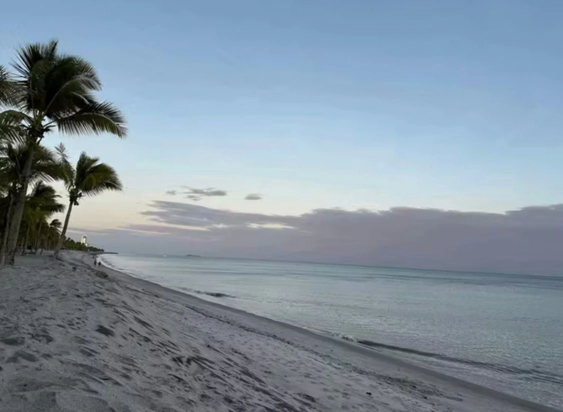 SALE / PLAYA BLANCA, RIO HATO, BUENAVENTURA - PH LOS PORTALES - photo 4