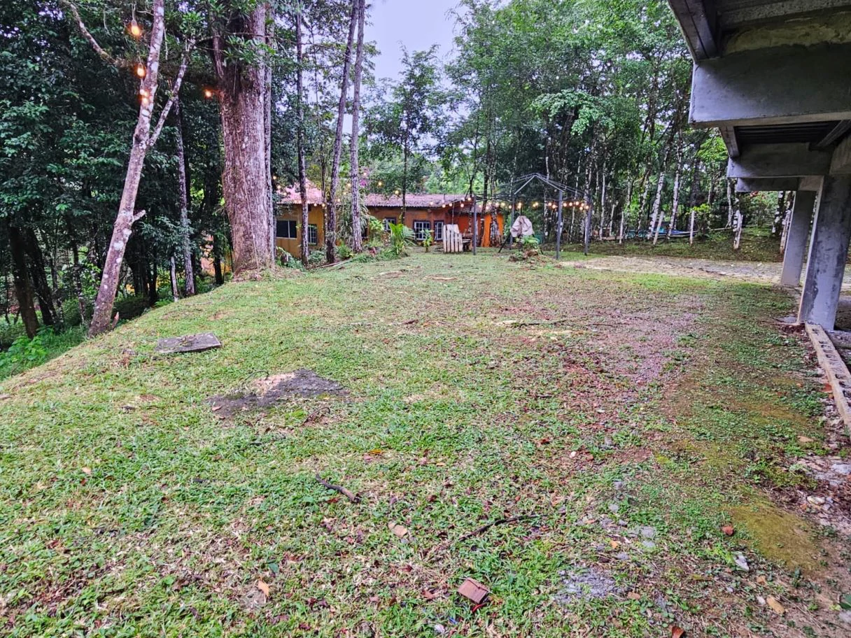 HOUSE FOR SALE IN CERRO AZUL | NEGOTIABLE - photo 7
