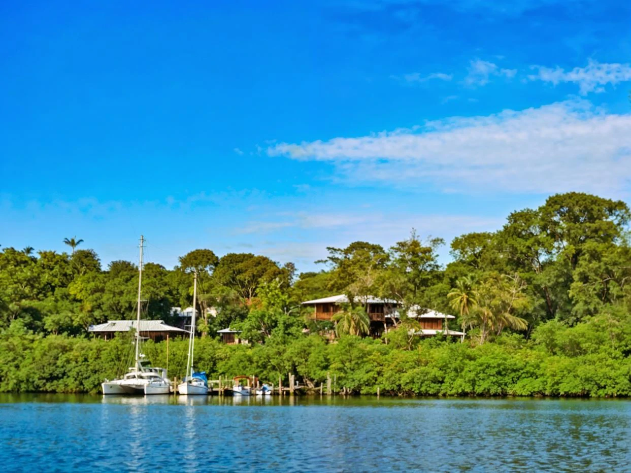 Affordable Island Living - photo 2