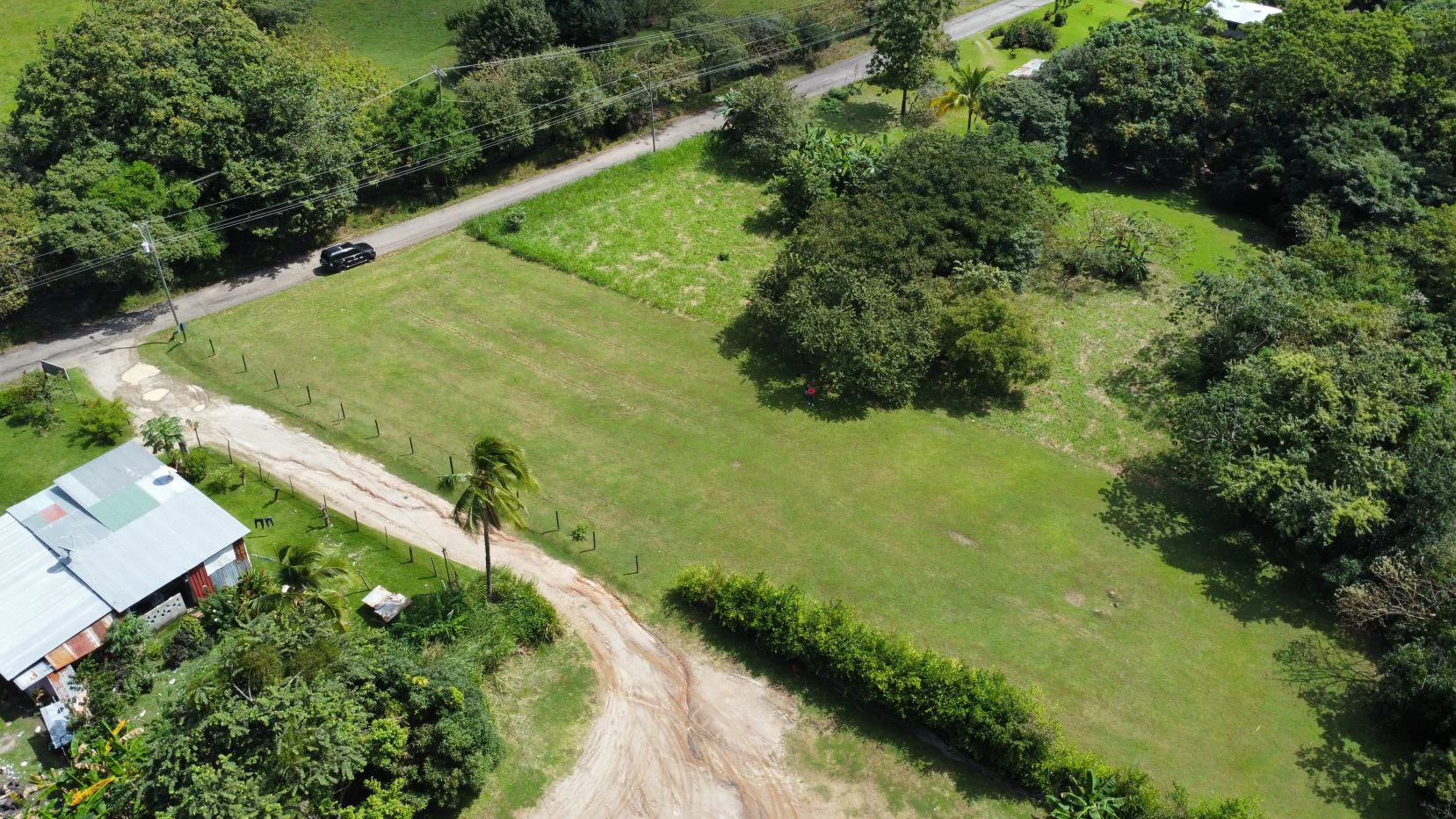 Land for sale in San Carlos - photo 9