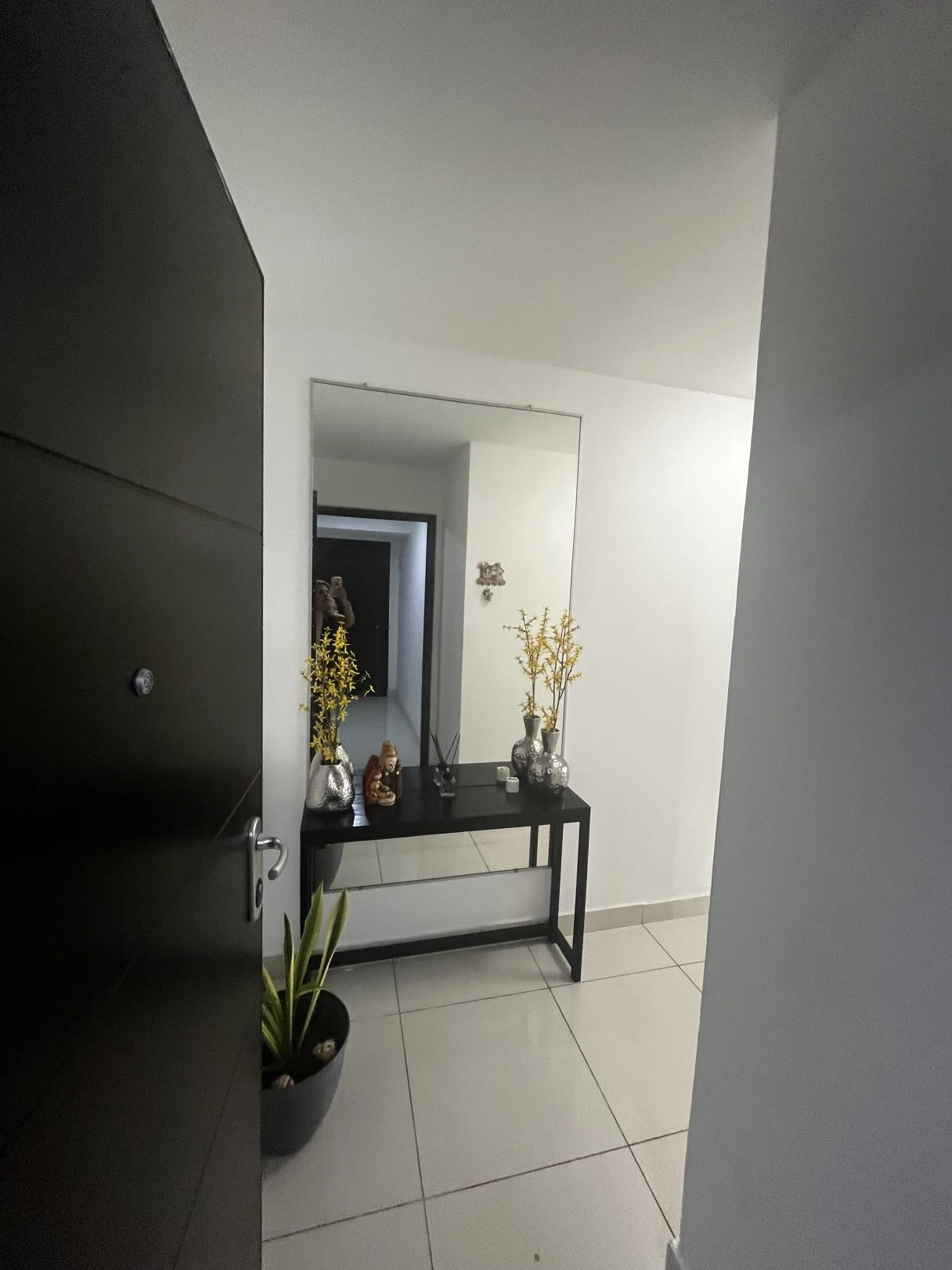Prime location Apartment in el Carmen-PH CARRERAS - photo 3