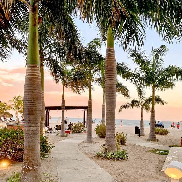 Beach Front Condos - photo 25