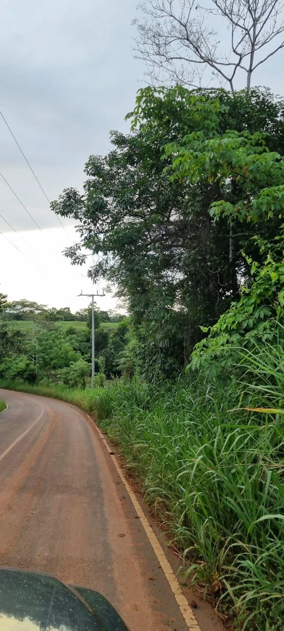 SALE OF LAND IN CHORRERA - LAS YAYAS ADENTRO (7.5 HECTARES) - photo 16