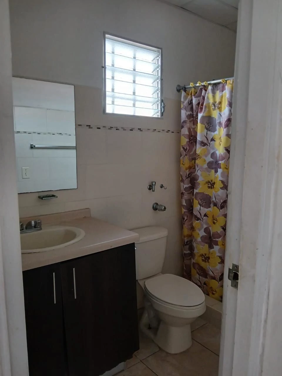 HOUSE FOR SALE IN SAN ANTONIO - photo 5