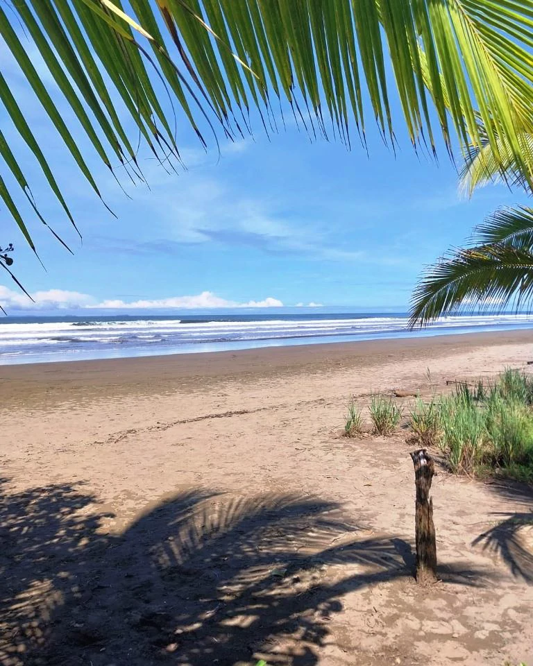 Hotel in Playa Las Lajas - Chiriquí - photo 14