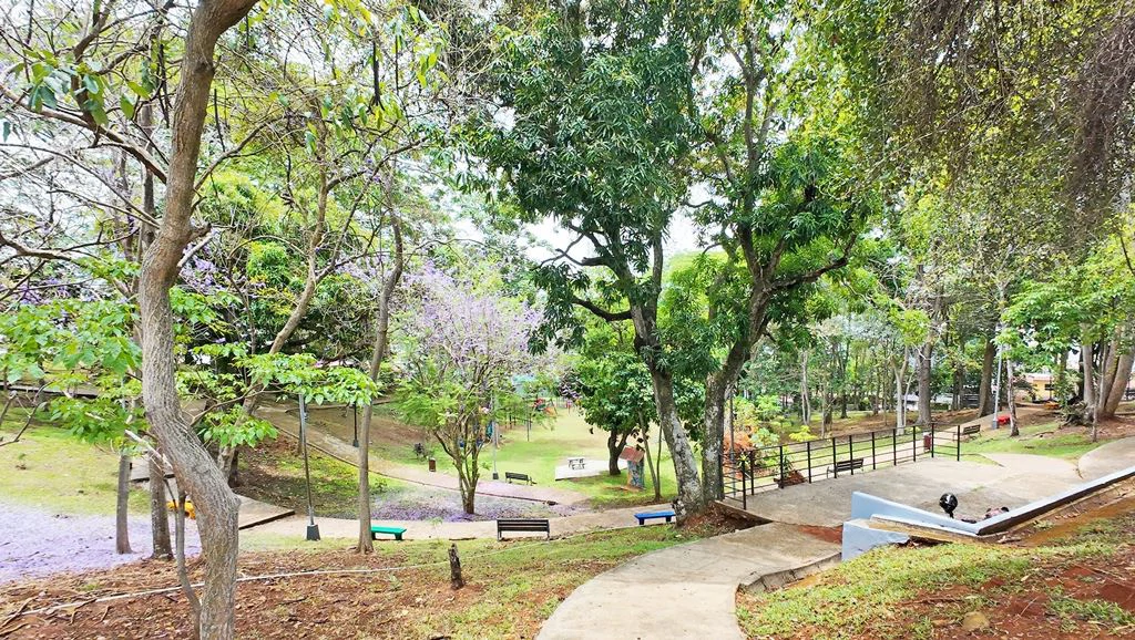 Brand New in Hato Pintado - photo 24