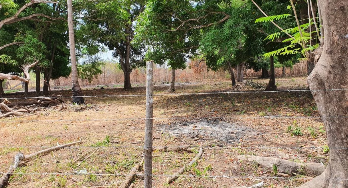 2.66-Hectare Land for Sale in Bejuco, Chame Panama Oeste – Ideal for Residential or Country Development - photo 7