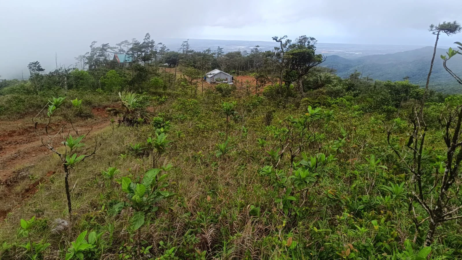 Land for Sale Alto Utivé – Cerro Azul with City and Panama Bay Views - photo 4