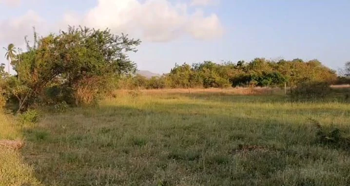 2.66-Hectare Land for Sale in Bejuco, Chame Panama Oeste – Ideal for Residential or Country Development - photo 5