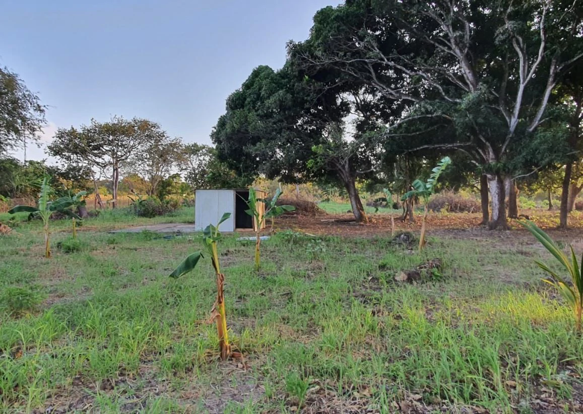 2.66-Hectare Land for Sale in Bejuco, Chame Panama Oeste – Ideal for Residential or Country Development - photo 6