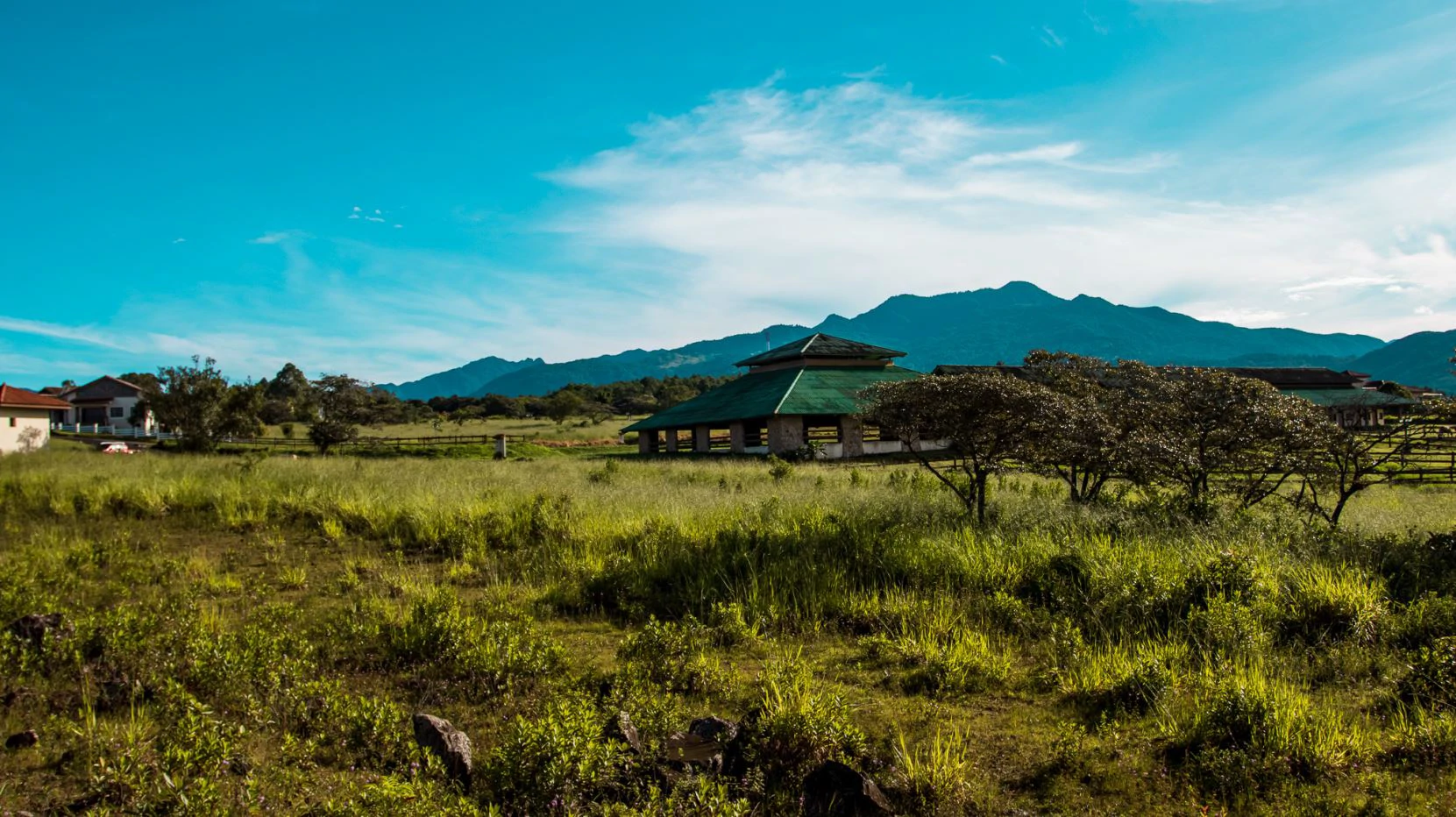 Invest in Boquete, land of flowers and coffee. - photo 16