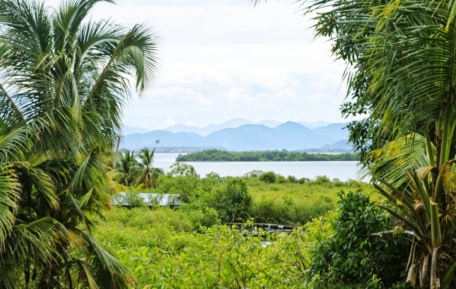 Affordable Island Living - photo 25