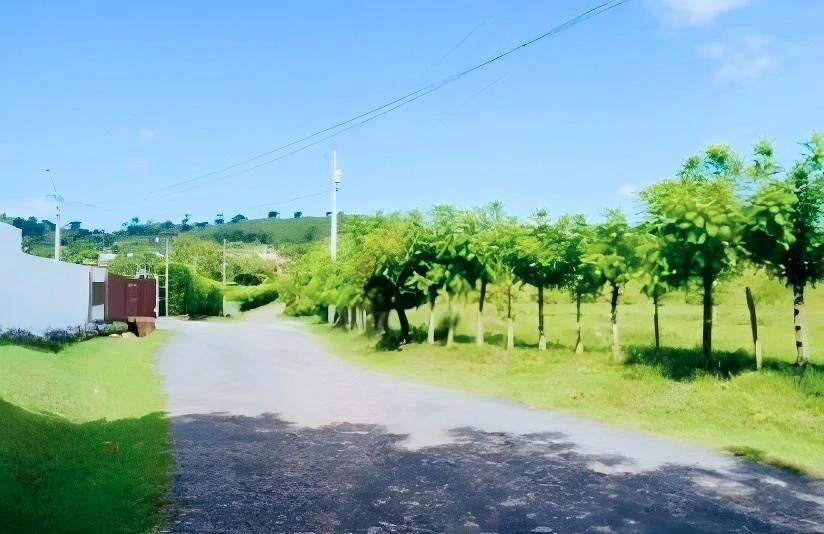 2.66-Hectare Land for Sale in Bejuco, Chame Panama Oeste – Ideal for Residential or Country Development - photo 4