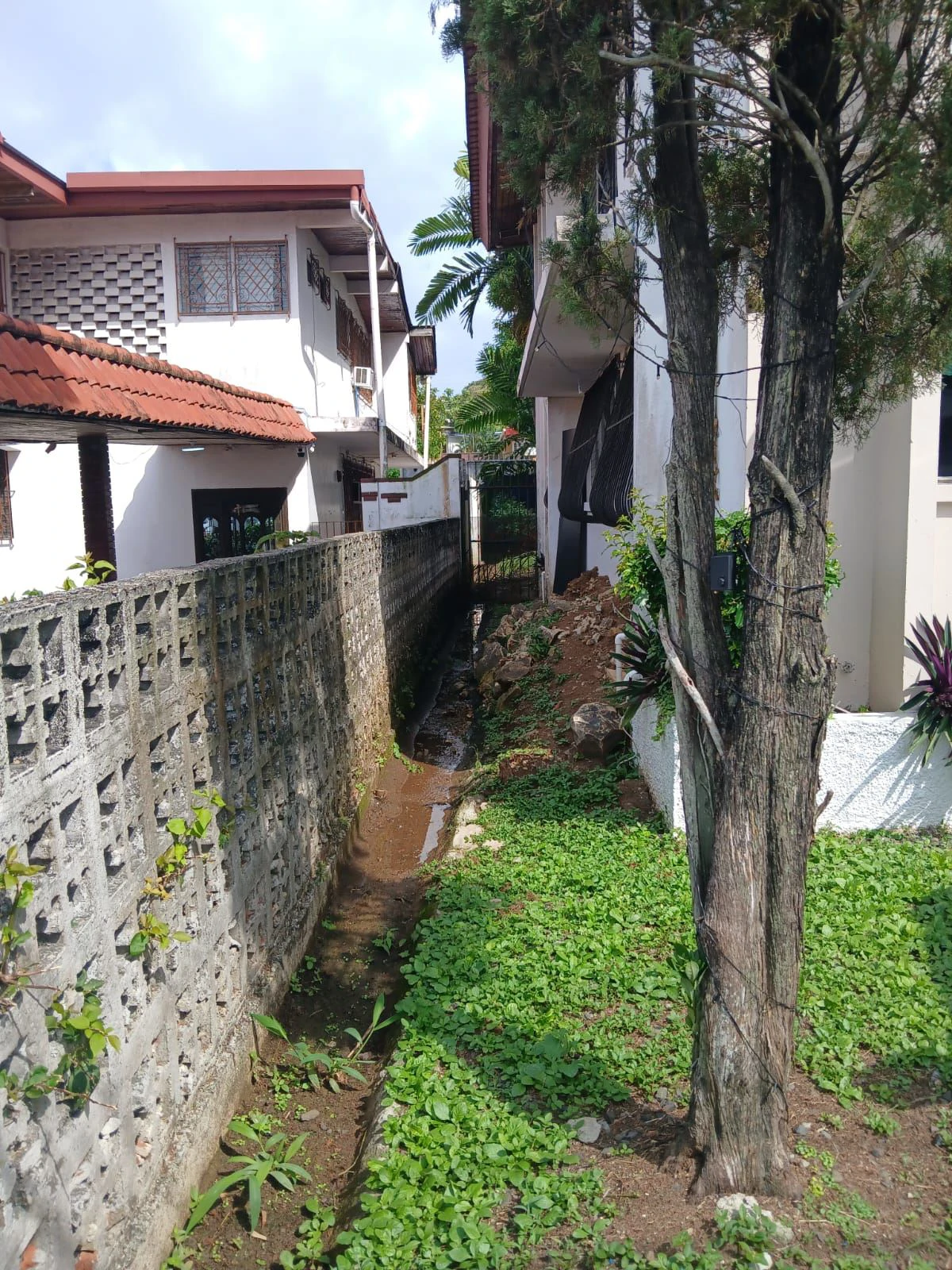 House for Sale in Bethania | Strategic Location with Exceptional Investment Potential - photo 19