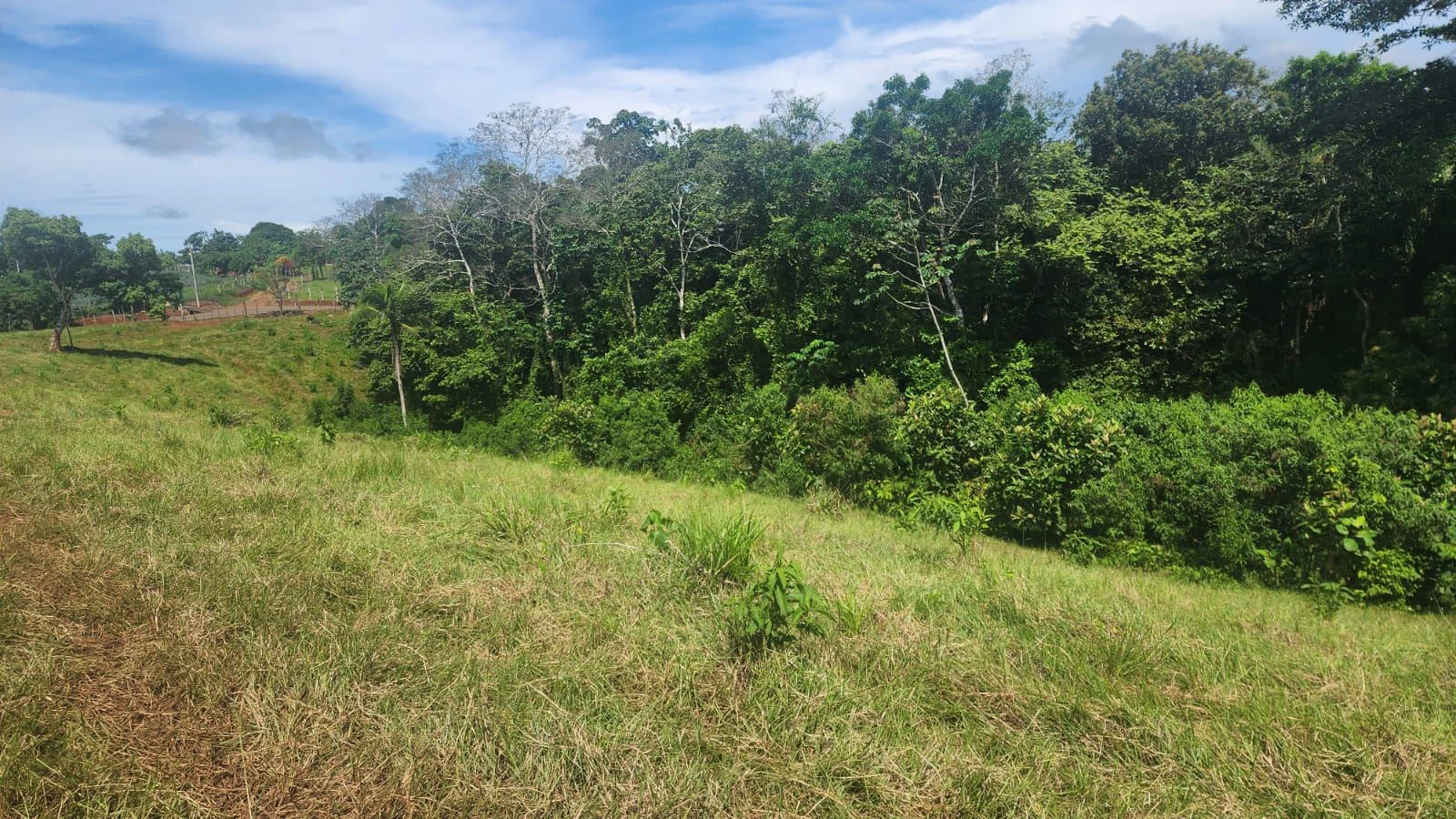 SALE OF LAND IN CHORRERA - LAS YAYAS ADENTRO (7.5 HECTARES) - photo 21