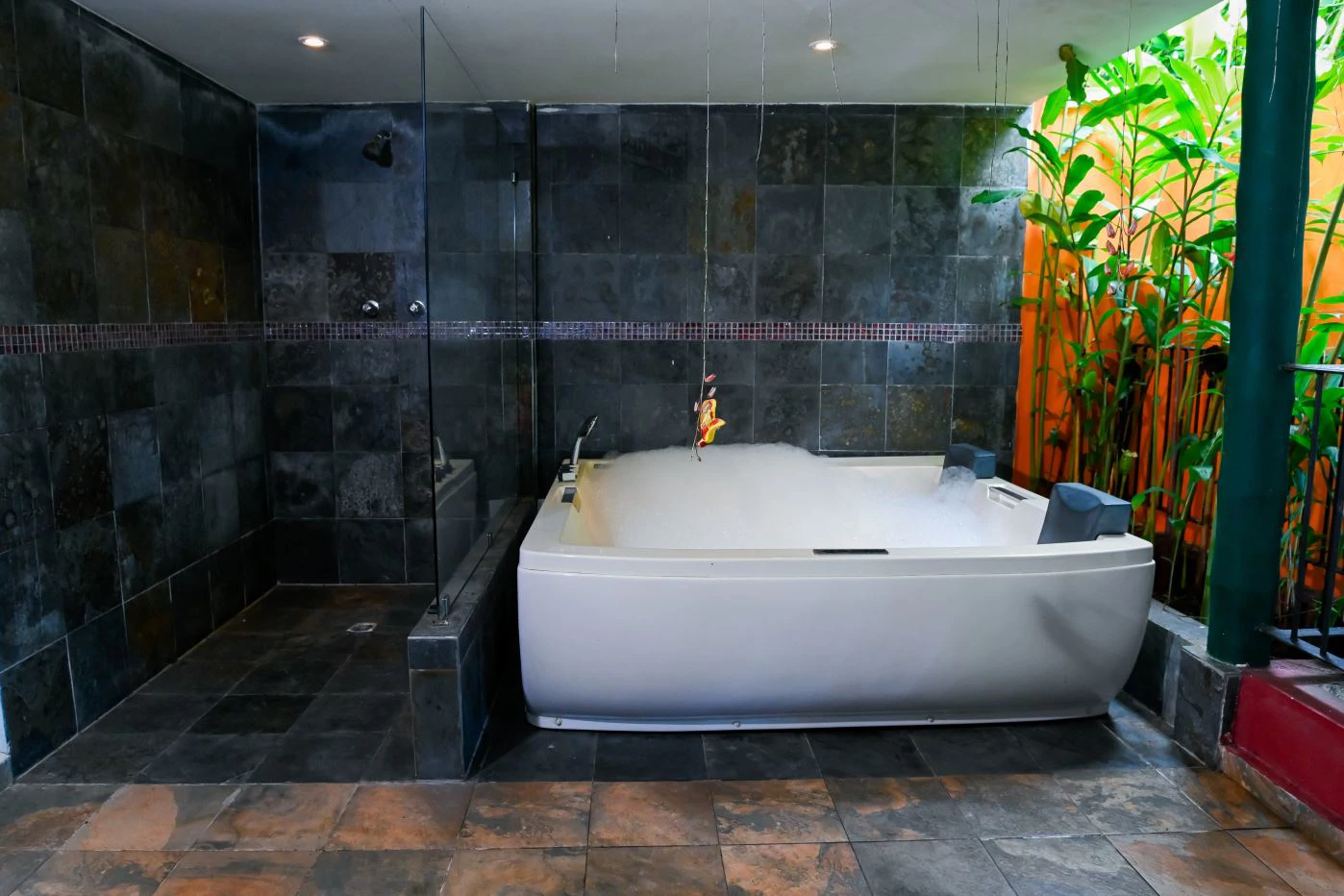 Boutique Hotel / Ecolodge for Sale in Cerro Azul – Investment Opportunity - photo 6
