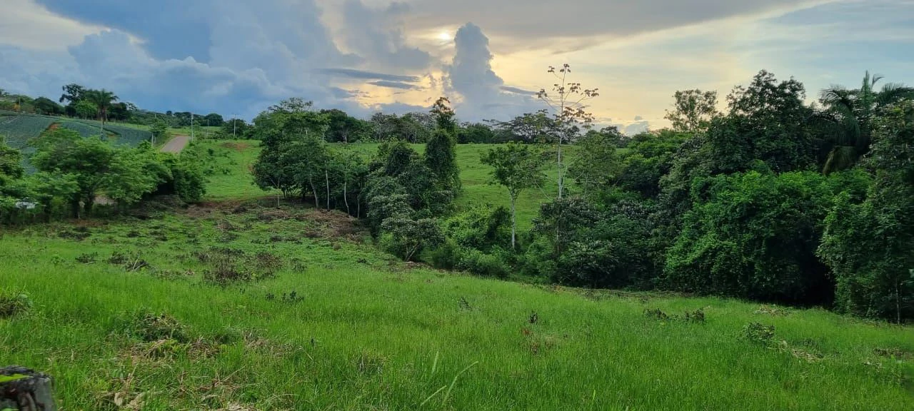 SALE OF LAND IN CHORRERA - LAS YAYAS ADENTRO (7.5 HECTARES) - photo 2