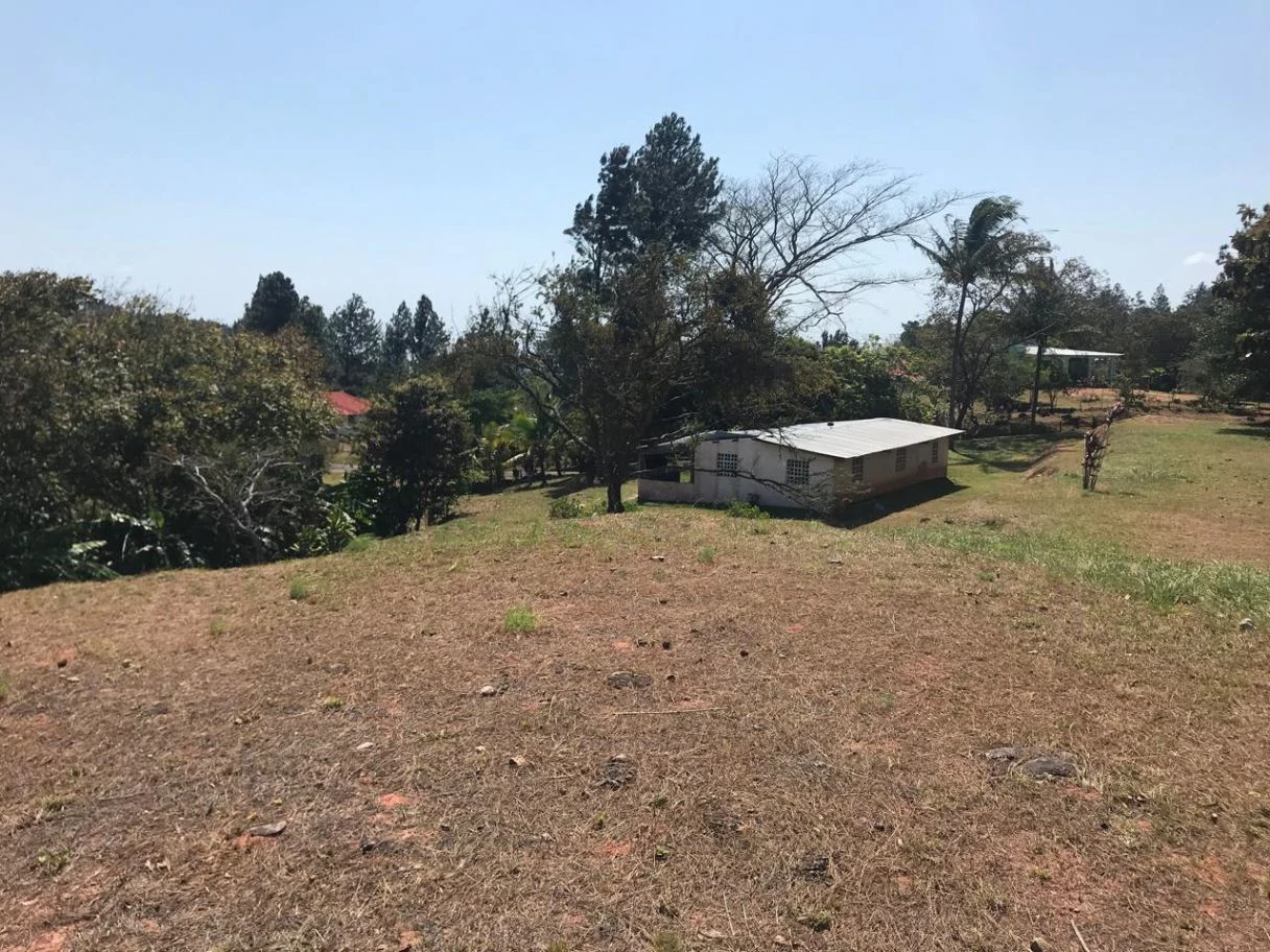 Land for Sale in San Carlos - photo 2