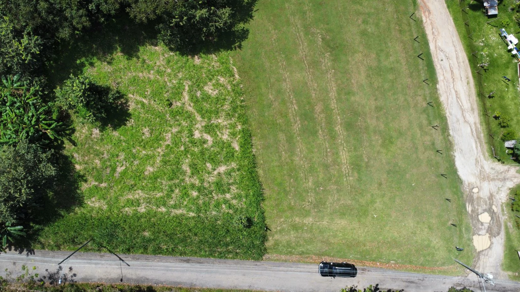 Land for sale in San Carlos - photo 4