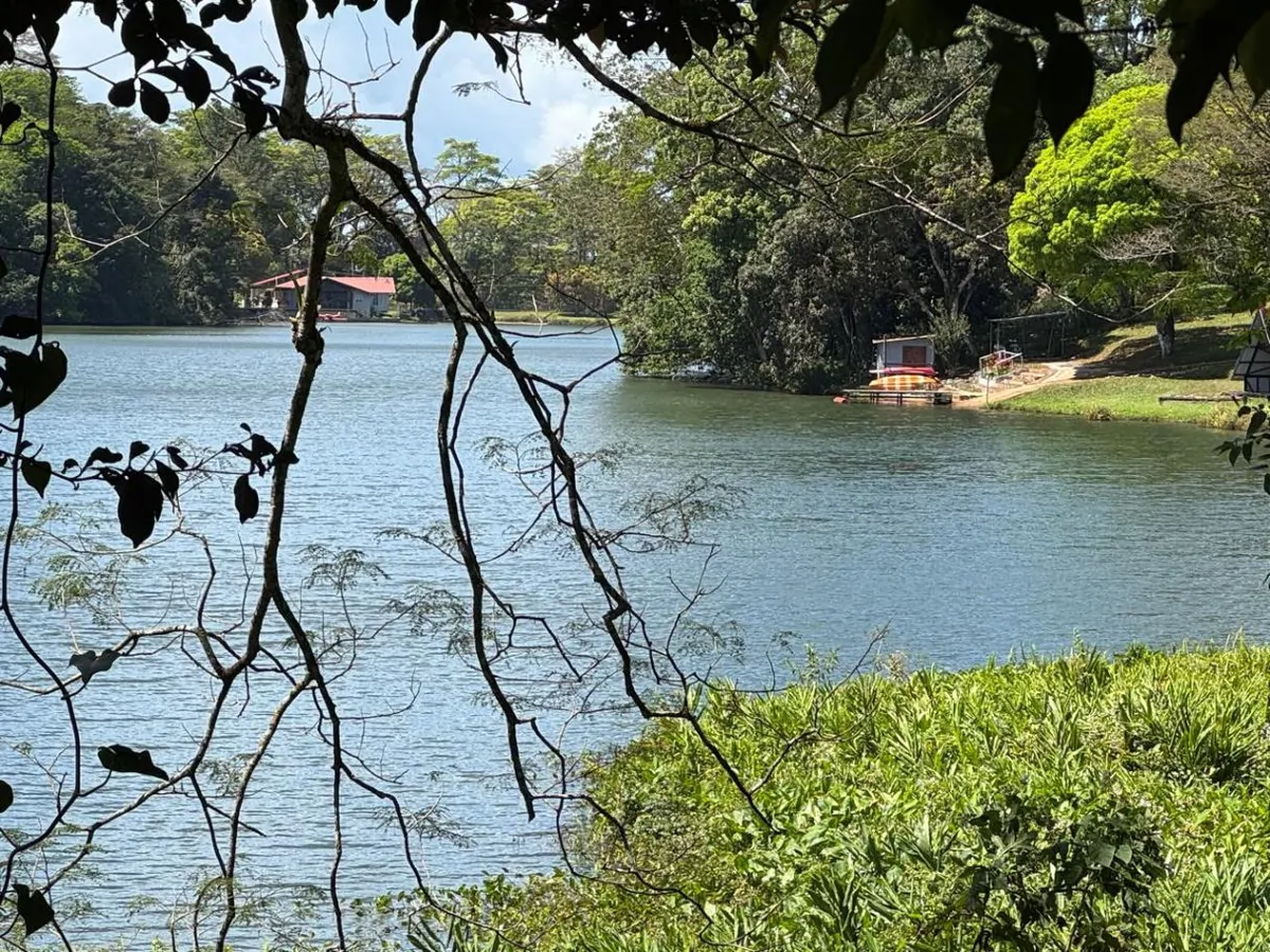 Land for Sale – 23 Hectares Private Paradise in Cerro Azul