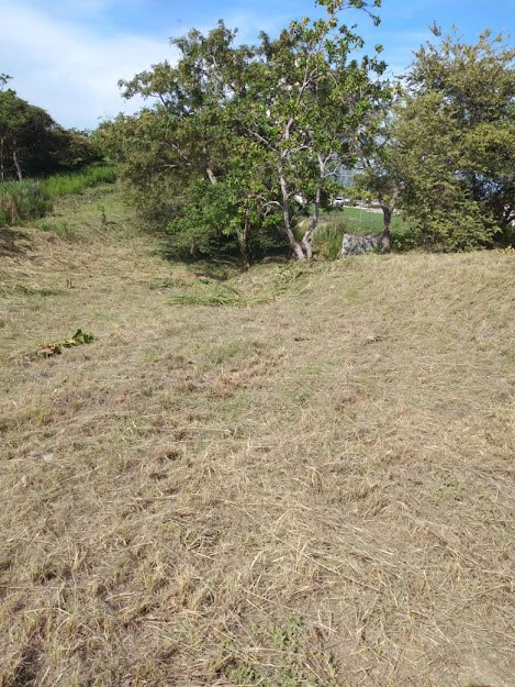 LOT / LAND SAN CARLOS