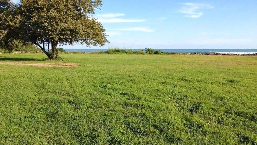 Amazing Beach Front Land in Chame - photo 7
