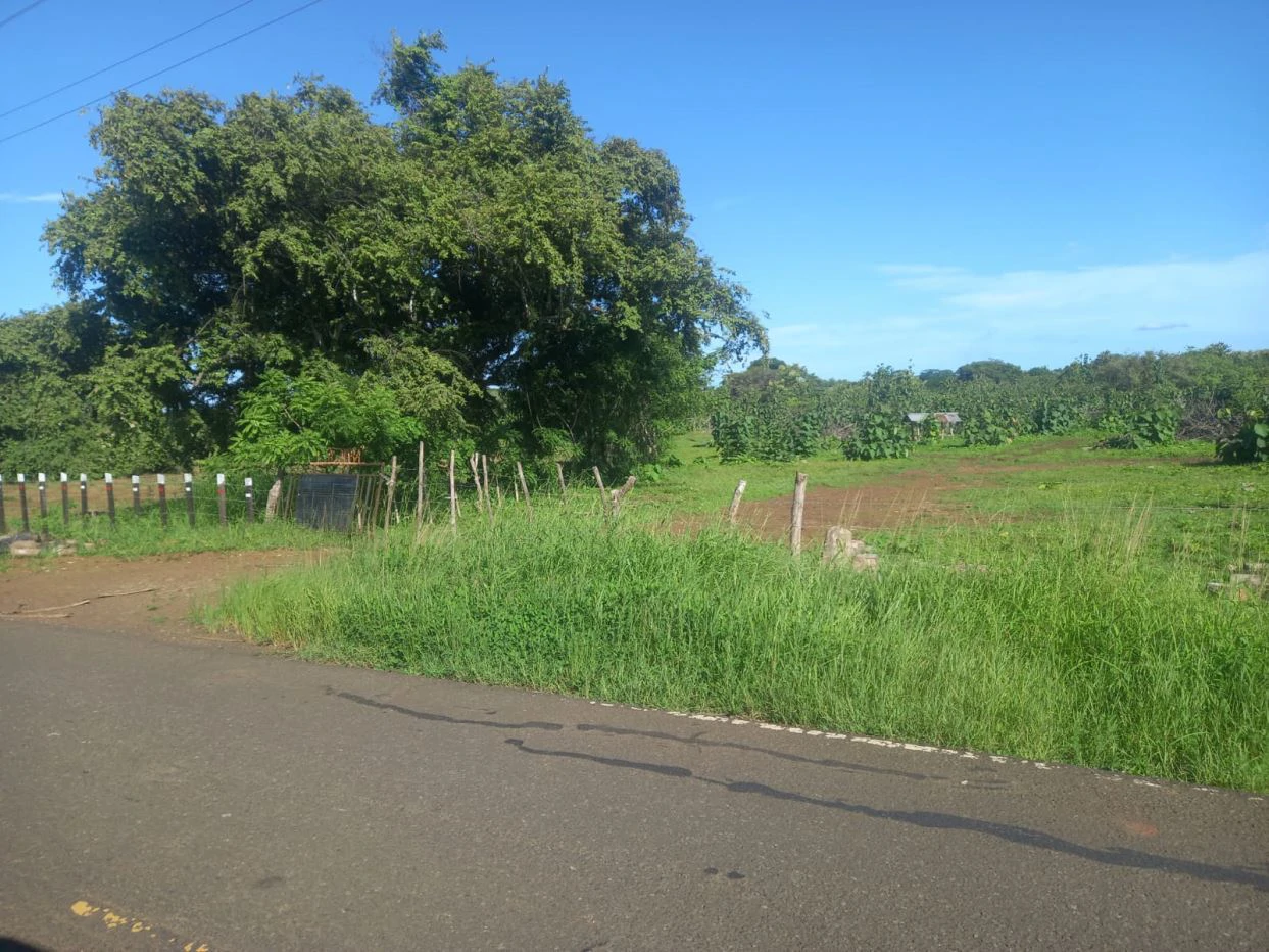 LAND FOR SALE IN LAS TABLAS – POCRÍ / PARITILLA, 15.5 HECTARES - photo 3