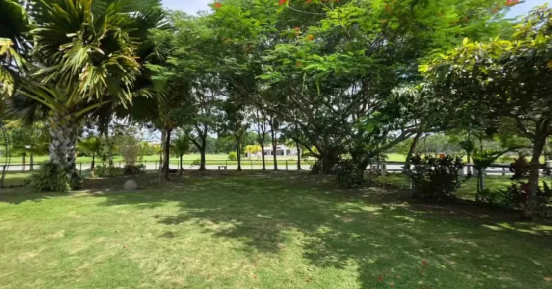 SALE / PLAYA BLANCA, RIO HATO, BUENAVENTURA - PH LOS PORTALES - photo 16