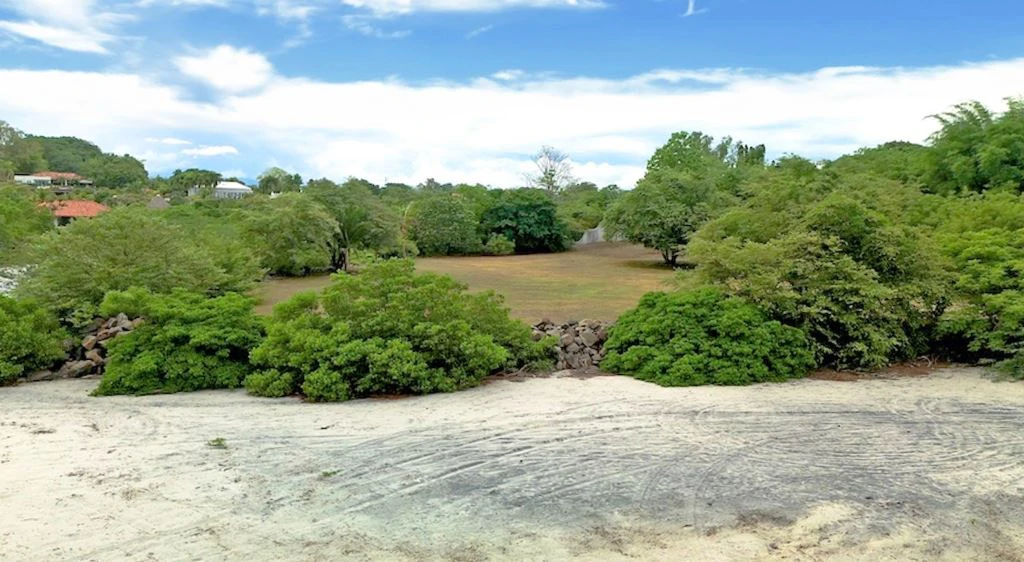 Amazing Beach Front Land in Chame - photo 5