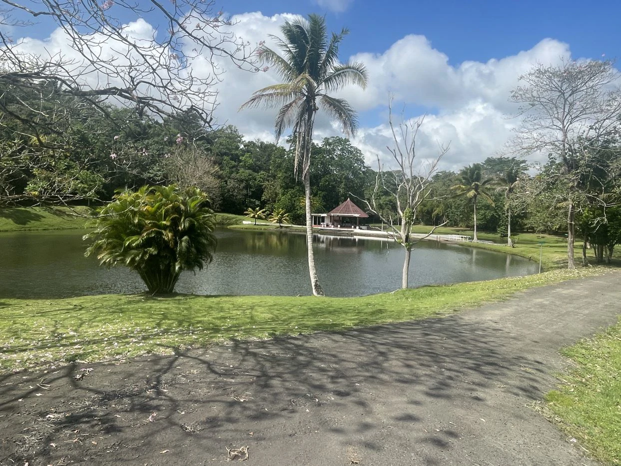 House for Sale PH Brisas de Los Lagos - Fully equipped and furnished - photo 17