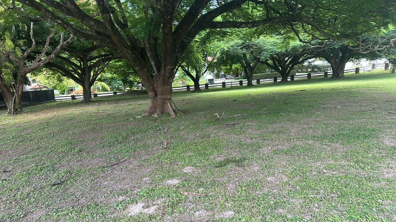 Land for Sale in PH Punta Barco Village – San Carlos, Panama West - photo 8