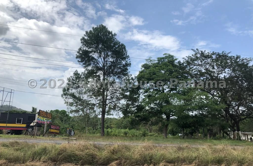 Land in Capira 68,905M2 with High Potential Return | Safe Investment in a Growing Area - photo 9