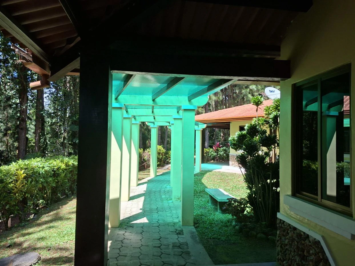 FOR SALE – Mountain Land in Altos de María, Chame District, Panamá - photo 17