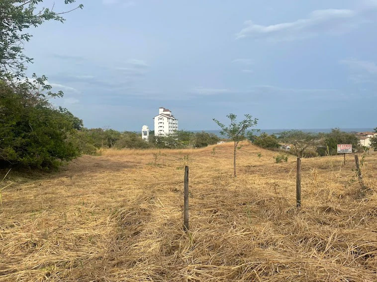 LOT / LAND SAN CARLOS - photo 6