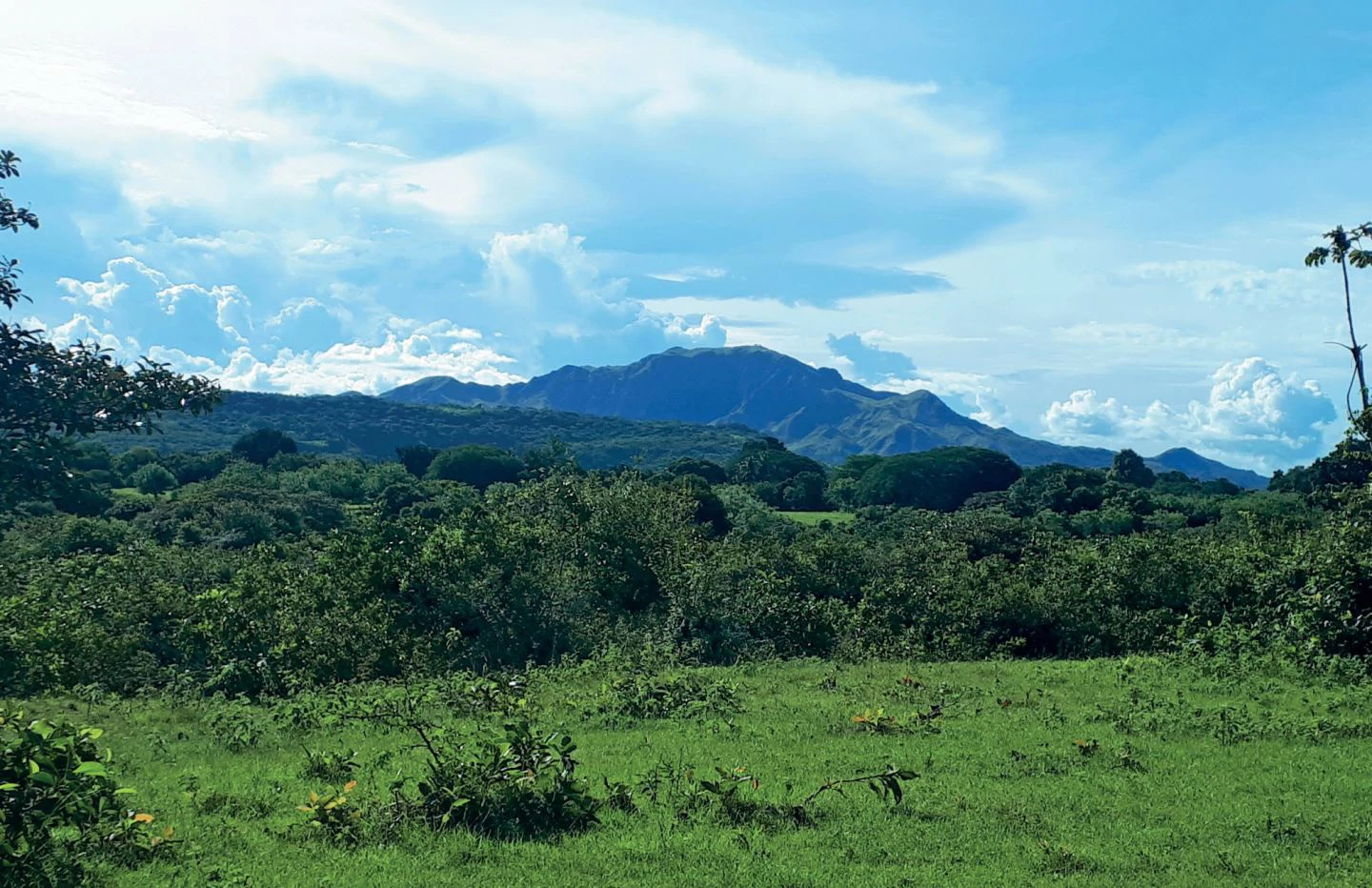 PH SAN ANDRÉS | JACARANDA MODEL | YOUR NEW HOME IN A GATED COMMUNITY - OUTSIDE THE CITY IN PENONOME - photo 5