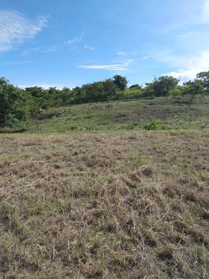 LOT / LAND SAN CARLOS - photo 4
