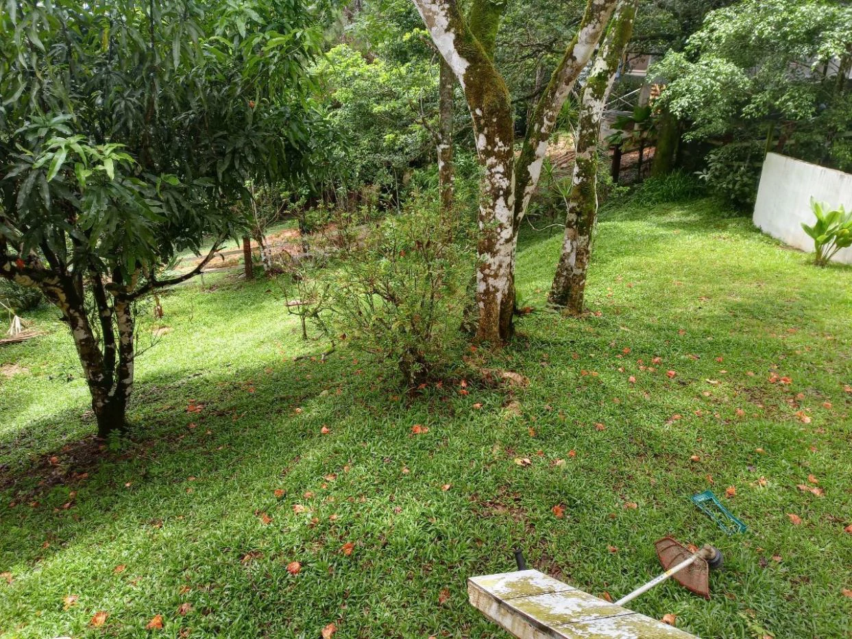 Mountain Home for Sale in Altos de Cerro Azul - photo 12