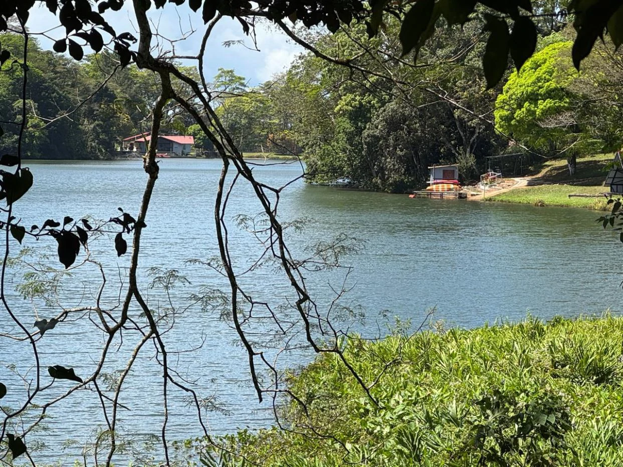 Land for Sale – 23 Hectares Private Paradise in Cerro Azul