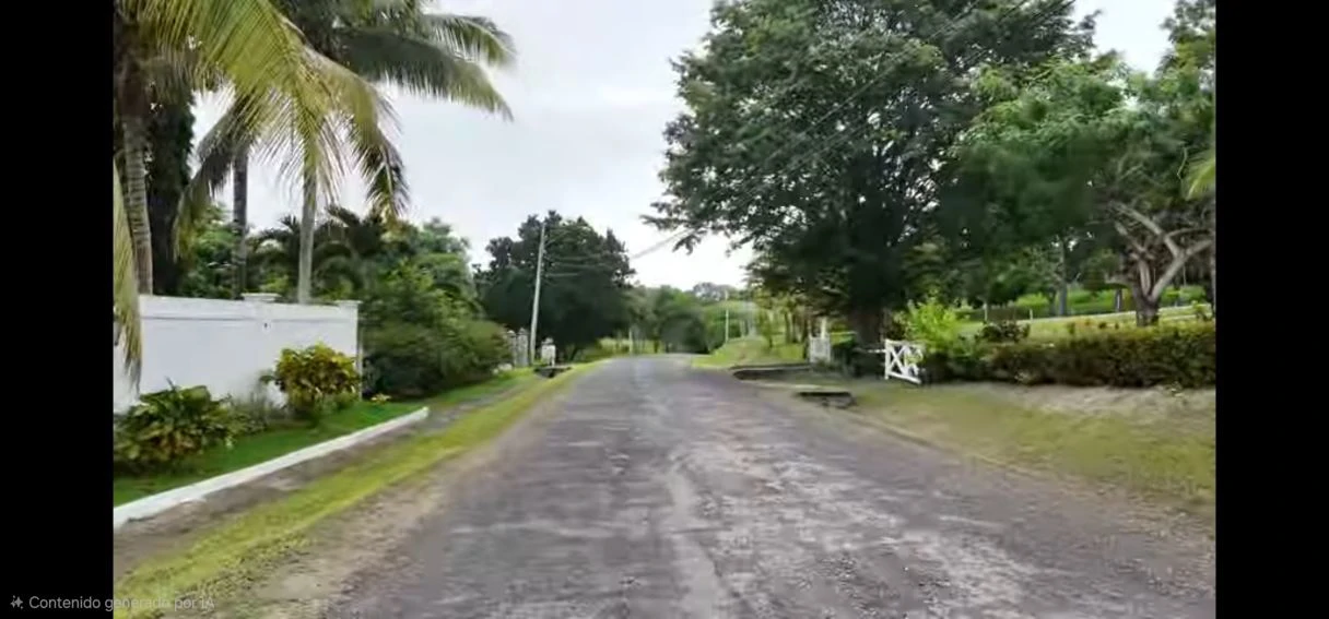 LAND FOR SALE IN SAN CARLOS LAS UVAS - photo 3
