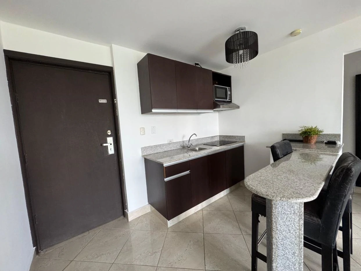 OPPORTUNITY! Tourist Apartment Condo-Hotel for sale in Ibiza Playa Corona - photo 3