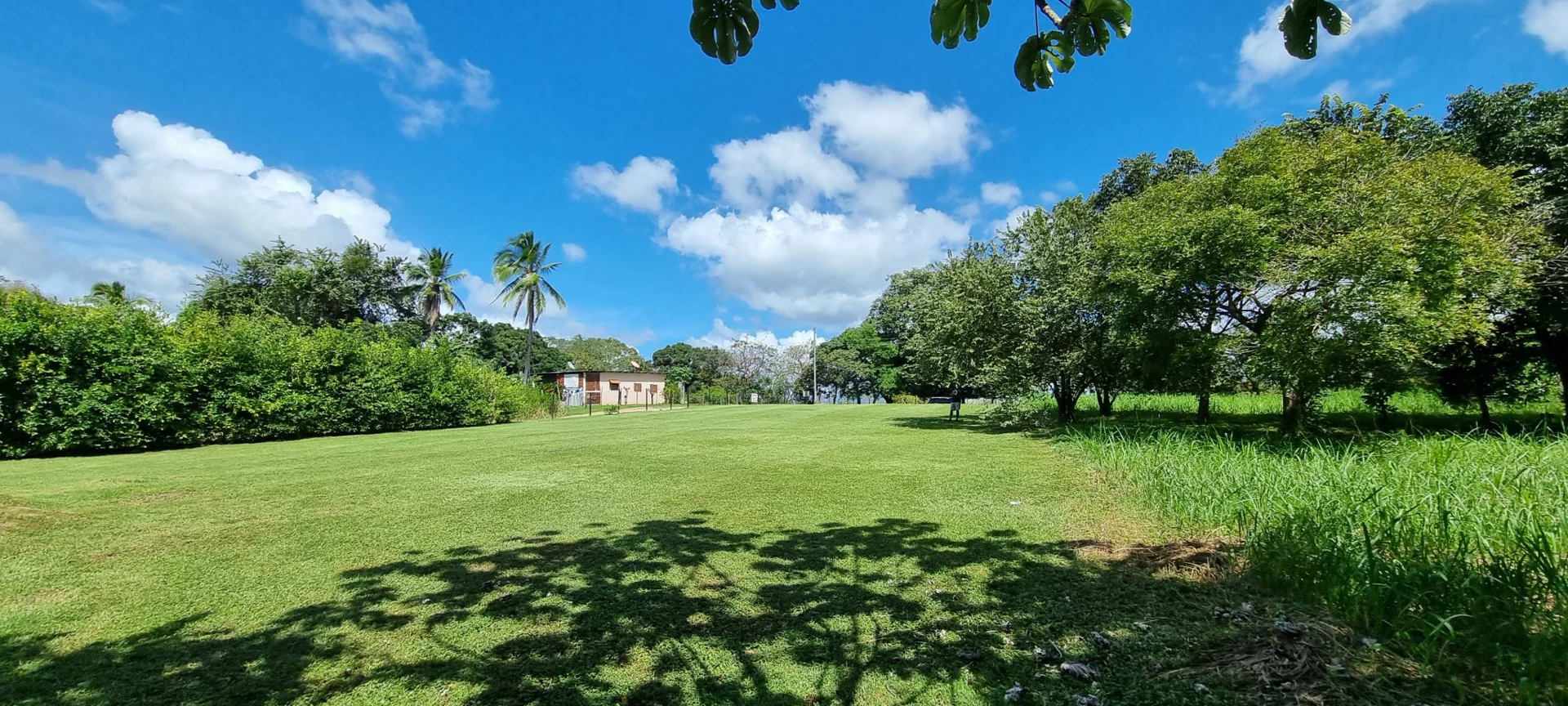 Land for sale in San Carlos - photo 5